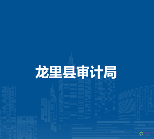 龍里縣審計(jì)局