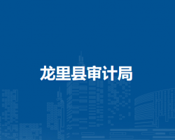 龍里縣審計(jì)局