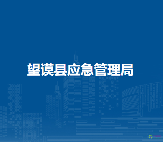 望謨縣應急管理局