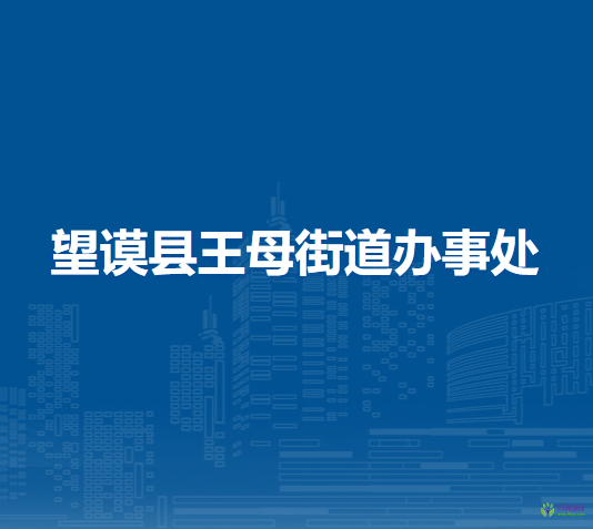 望謨縣王母街道辦事處