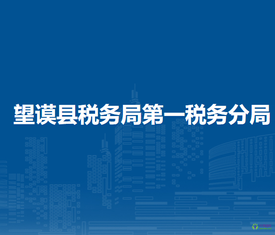 望謨縣稅務(wù)局第一稅務(wù)分局
