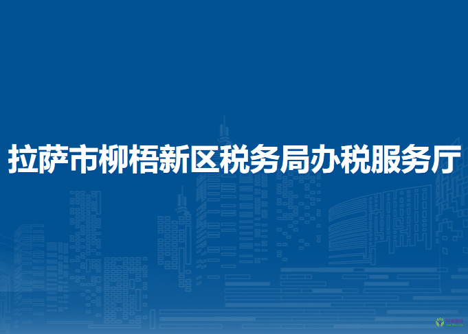 拉薩市柳梧新區(qū)稅務(wù)局辦稅服務(wù)廳