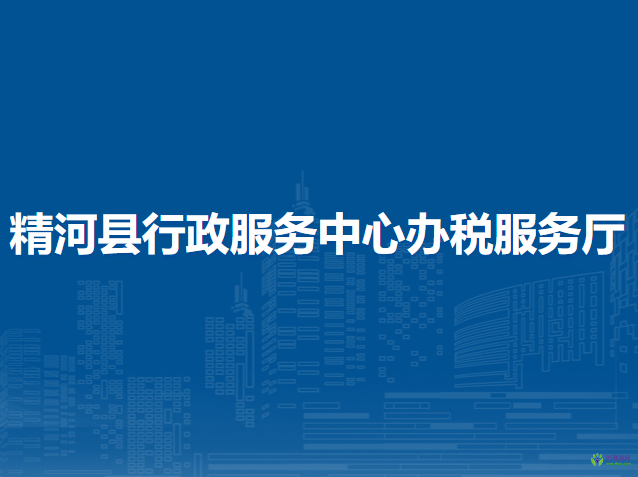 精河縣行政服務(wù)中心辦稅服務(wù)廳