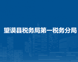 望謨縣稅務(wù)局第一稅務(wù)分局