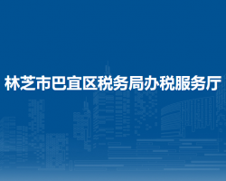 林芝市巴宜區(qū)稅務(wù)局辦稅服務(wù)廳