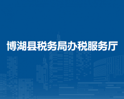 博湖縣稅務(wù)局辦稅服務(wù)廳