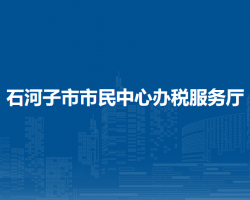 石河子市市民中心辦稅服務(wù)