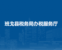 班戈縣稅務局辦稅服務廳