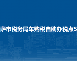 拉薩市稅務(wù)局車(chē)購(gòu)稅自助辦