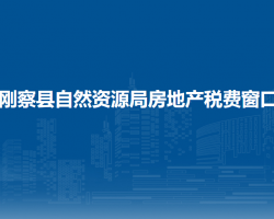 剛察縣自然資源局房地產(chǎn)稅費窗口