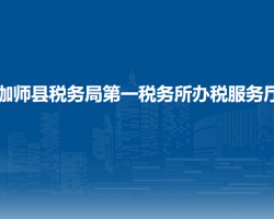 伽師縣稅務(wù)局第一稅務(wù)所辦