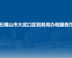 石嘴山市大武口區(qū)稅務局辦