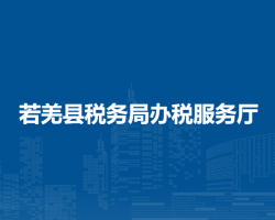 若羌縣稅務(wù)局辦稅服務(wù)廳