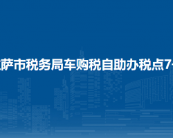 拉薩市稅務(wù)局車(chē)購(gòu)稅自助辦