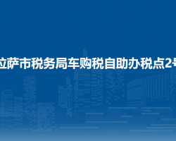 拉薩市稅務(wù)局車(chē)購(gòu)稅自助辦