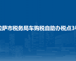 拉薩市稅務(wù)局車(chē)購(gòu)稅自助辦
