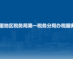 阿里地區(qū)稅務局第一稅務分