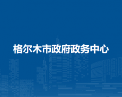 格爾木市政府政務(wù)中心辦稅