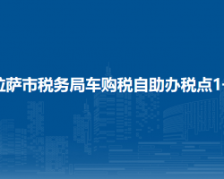 拉薩市稅務(wù)局車(chē)購(gòu)稅自助辦