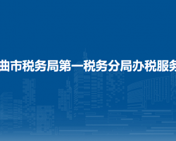 那曲市稅務局第一稅務分局