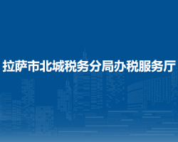 拉薩市北城稅務(wù)分局辦稅服務(wù)廳