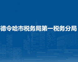 德令哈市稅務(wù)局第一稅務(wù)分