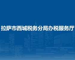 拉薩市西城稅務(wù)分局辦稅服務(wù)廳
