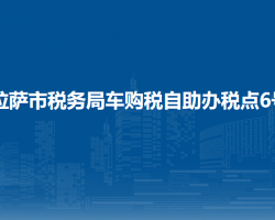 拉薩市稅務(wù)局車(chē)購(gòu)稅自助辦
