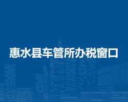 惠水縣車管所辦稅窗口
