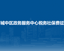 西寧市城中區(qū)政務(wù)服務(wù)中心稅務(wù)社保費(fèi)征收大廳
