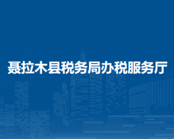 聶拉木縣稅務(wù)局辦稅服務(wù)廳
