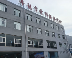 豐鎮(zhèn)市政務服務中心