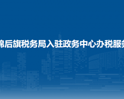 杭錦后旗稅務局入駐政務中