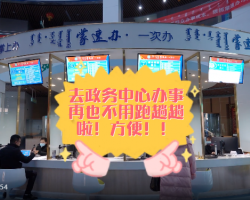 巴彥淖爾市臨河區(qū)政務服務