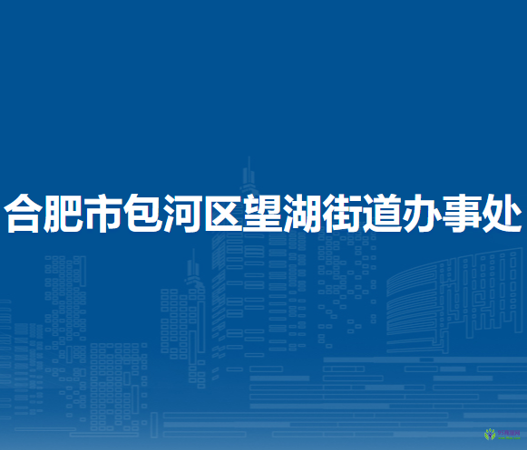 合肥市包河區(qū)望湖街道辦事處