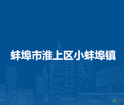 蚌埠市淮上區(qū)小蚌埠鎮(zhèn)人民政府