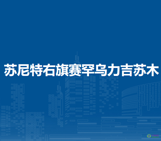 蘇尼特右旗賽罕烏力吉蘇木人民政府