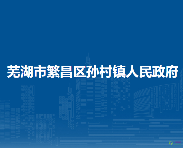蕪湖市繁昌區(qū)孫村鎮(zhèn)人民政府