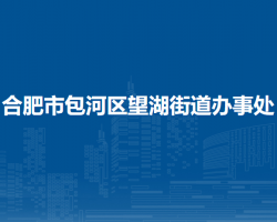 合肥市包河區(qū)望湖街道辦事處