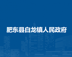 肥東縣白龍鎮(zhèn)人民政府
