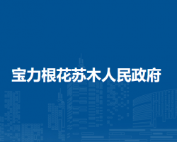 扎賚特旗寶力根花蘇木人民政府