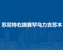 蘇尼特右旗賽罕烏力吉蘇木人民政府