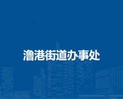 蕪湖市弋江區(qū)澛港街道辦事處