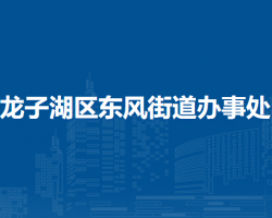 蚌埠市龍子湖區(qū)東風街道辦事處