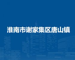 淮南市謝家集區(qū)唐山鎮(zhèn)人民政府
