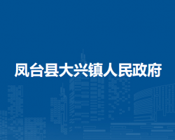 鳳臺(tái)縣大興鎮(zhèn)人民政府