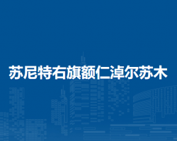 蘇尼特右旗額仁淖爾蘇木人民政府