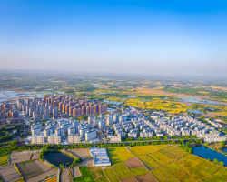 肥西縣柿樹(shù)崗鄉(xiāng)人民政府