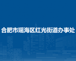 合肥市瑤海區(qū)紅光街道辦事處