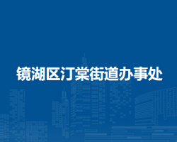 蕪湖市鏡湖區(qū)汀棠街道辦事處